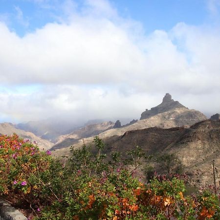 Vivelorural Casa Rural Isla De Cuba Villa Tejeda  Dış mekan fotoğraf