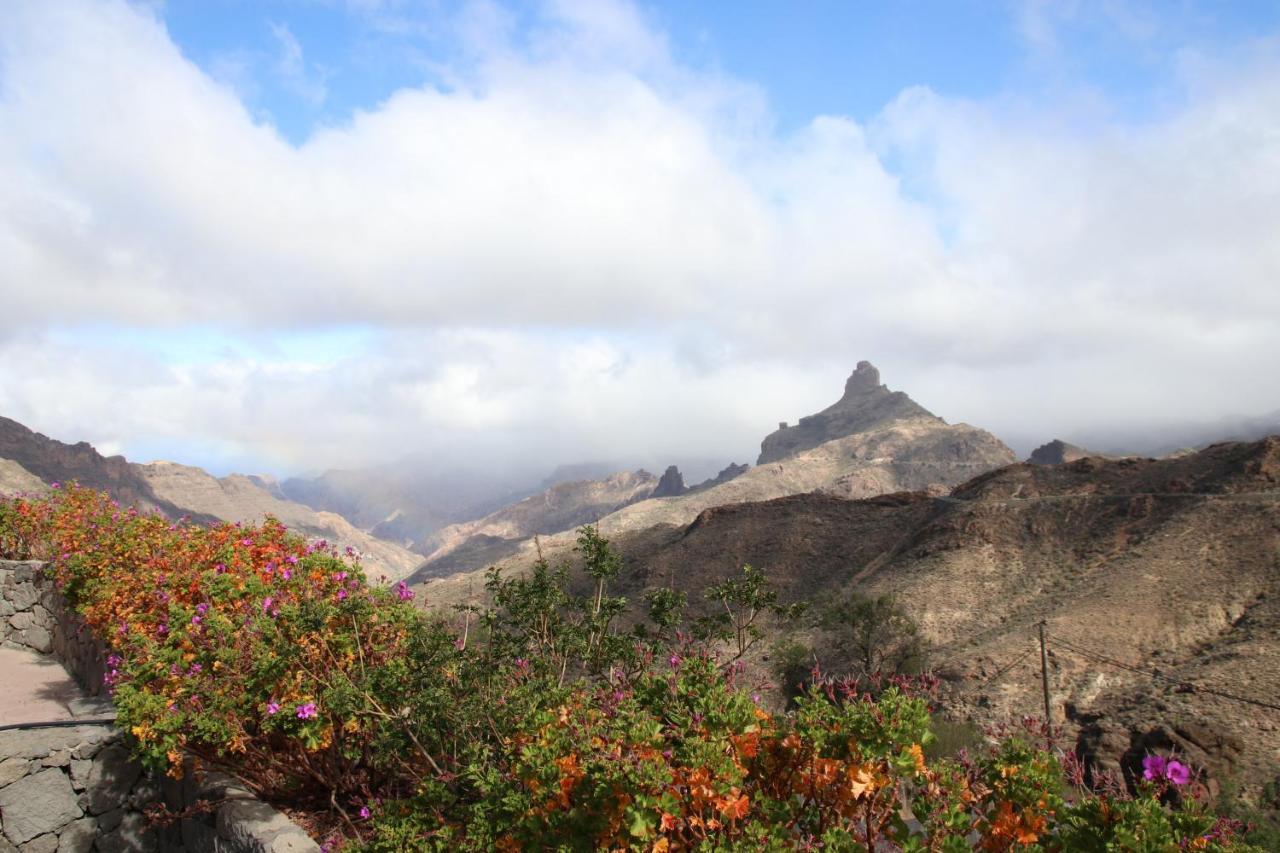 Vivelorural Casa Rural Isla De Cuba Villa Tejeda  Dış mekan fotoğraf